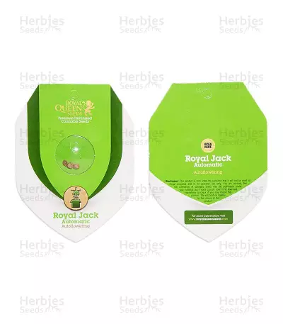 Royal Jack Automatic (RQS) Cannabis-Samen