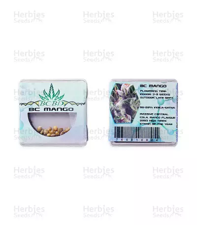 BC Mango regular (BC Bud Depot Seeds) Cannabis-Samen