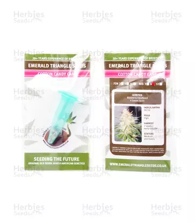 Cotton Candy Cane regular (Emerald Triangle Seeds) Cannabis-Samen