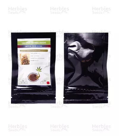 Critical Sour Diesel (Emerald Triangle Seeds) Cannabis-Samen