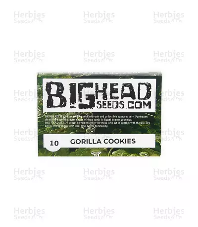 Gorilla Cookies (Big Head Seeds) Cannabis-Samen