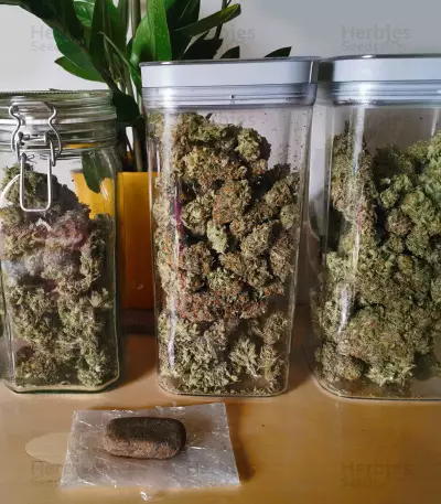Amnesia Lemon Kush (Original Sensible Seeds) Cannabis-Samen