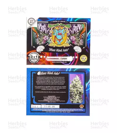 Blow Mind Auto (Sweet Seeds) Cannabis-Samen