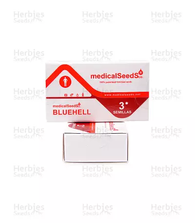 Blue Hell Auto (Medical Seeds) Cannabis-Samen