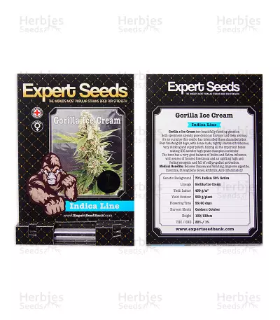 Gorilla Ice Cream (Expert Seeds) Cannabis-Samen