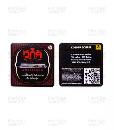 Kosher Sorbet (DNA Genetics) Cannabis-Samen
