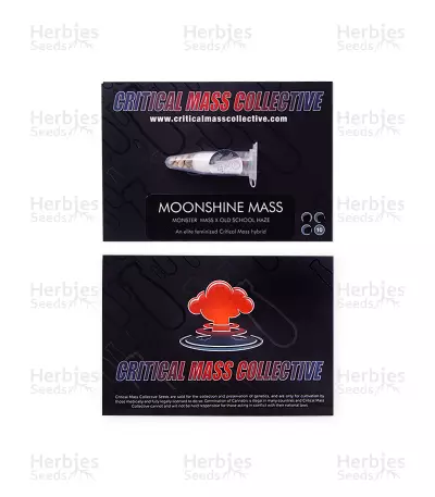 Moonshine Mass (Critical Mass Collective Seeds) Cannabis-Samen