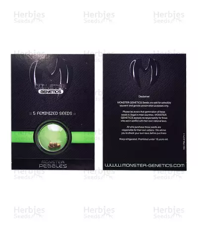 Monster Pebbles (Monster Genetics) Cannabis-Samen