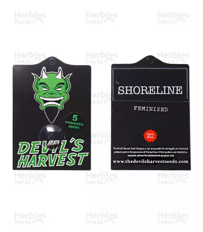 Shoreline (Devils Harvest Seeds) Cannabis-Samen