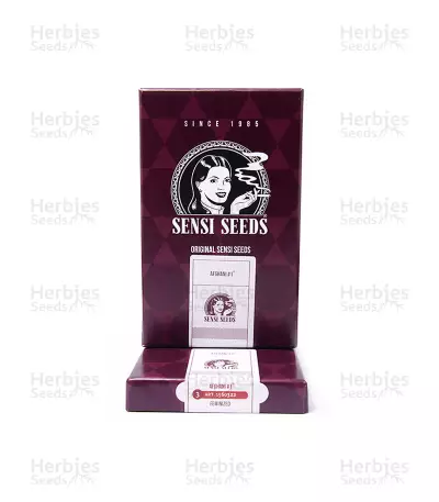 Afghani #1 (Sensi Seeds) Cannabis-Samen