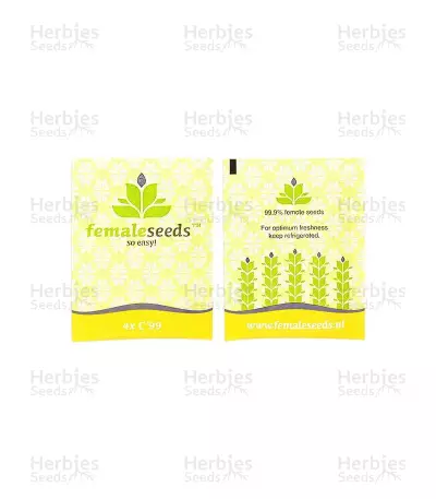C99 (Female Seeds) Cannabis-Samen