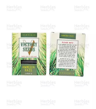 Amnesia Haze (Victory Seeds) Cannabis-Samen