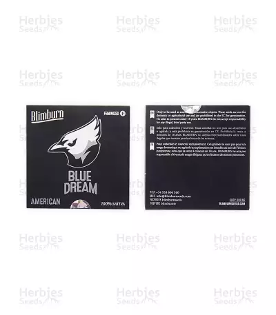 Blue Dream (BlimBurn Seeds) Cannabis-Samen