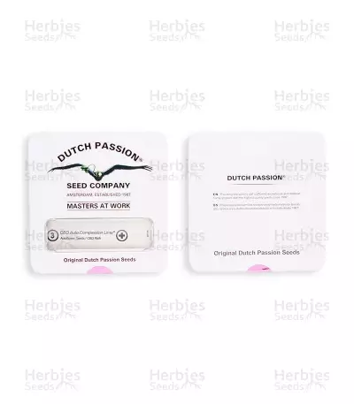 CBD Auto Compassion Lime (Dutch Passion) Cannabis-Samen