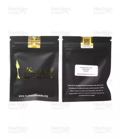 Chocolate Mint OG Auto Samen feminisiert (Humboldt Seeds Organization)
