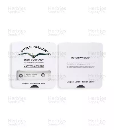White Widow regular (Dutch Passion) Cannabis-Samen