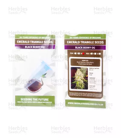 Black Berry OG (Emerald Triangle Seeds) Cannabis-Samen