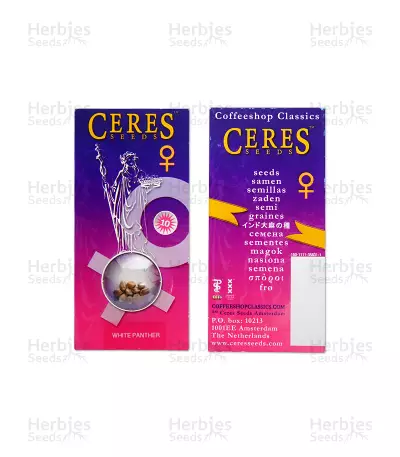 White Panther (White Snurf) (Ceres Seeds) Cannabis-Samen