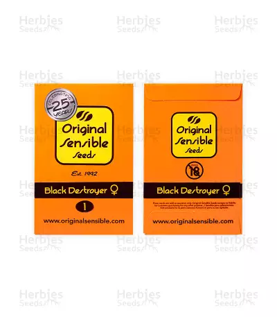 Black Destroyer (Original Sensible Seeds) Cannabis-Samen
