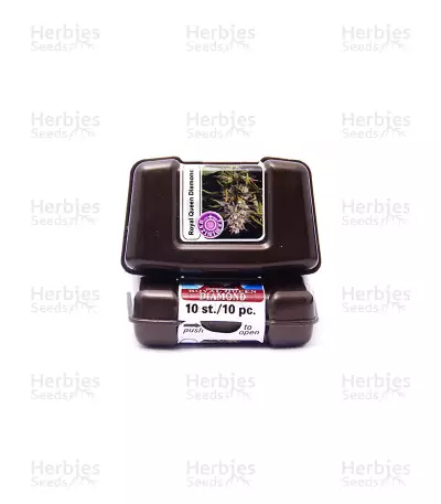 Royal Queen Diamond (Kera Seeds) Cannabis-Samen