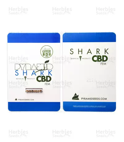 Shark CBD (Pyramid Seeds) Cannabis-Samen