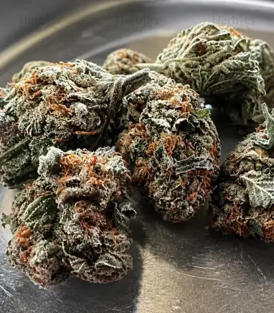 Biscotti Auto (Green House Seeds)