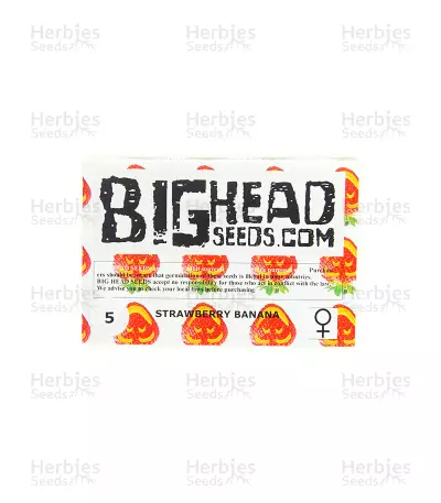 Strawberry Banana (Big Head Seeds) Cannabis-Samen