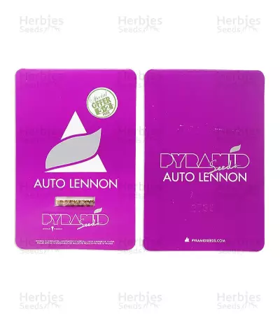 Auto Lennon (Pyramid Seeds) Cannabis-Samen