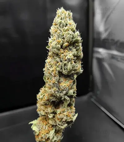 White Runtz feminisierte Samen (Barney's Farm)