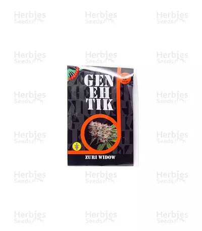 Zuri Widow (Genehtik Seeds) Cannabis-Samen