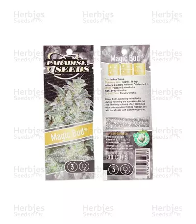 Magic Bud (Paradise Seeds) Cannabis-Samen
