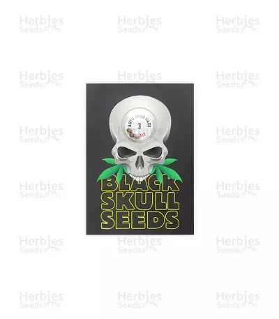 Auto Speed Haze (Blackskull Seeds) Cannabis-Samen