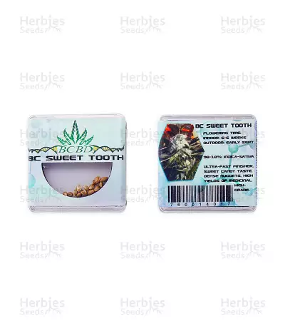 BC Sweet Tooth seeds