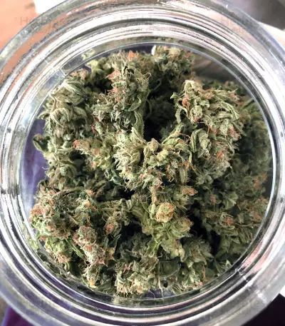 Head Stash Auto (Big Head Seeds) Cannabis-Samen