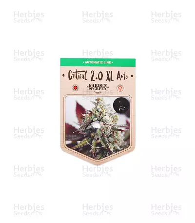 Critical 2.0 XL Auto (Garden Of Green) Cannabis-Samen