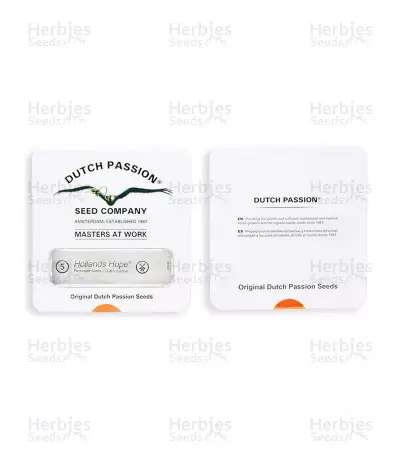Hollands Hope (Dutch Passion) Cannabis-Samen