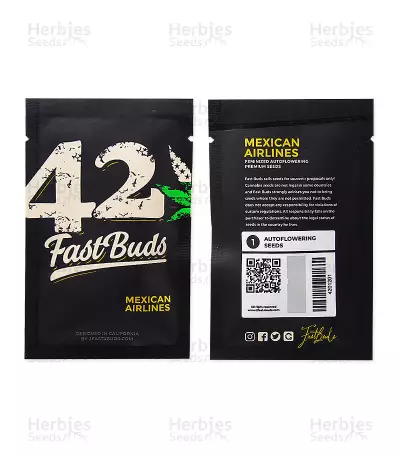 Mexican Airlines Auto (Fast Buds) Cannabis-Samen