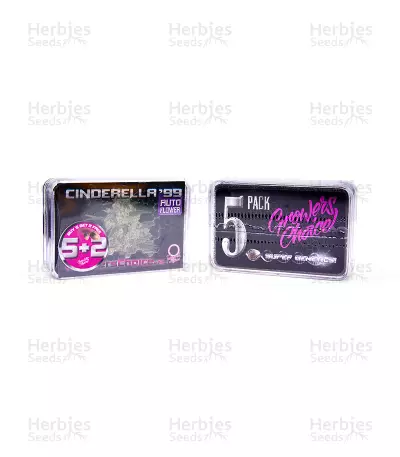 Cinderella 99 (Growers Choice) Cannabis-Samen