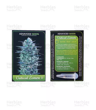 Critical Lemon (Advanced Seeds) Cannabis-Samen