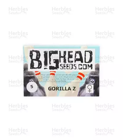 Gorilla Z (Big Head Seeds) Cannabis-Samen