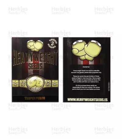 Tropic Punch (Heavyweight Seeds) Cannabis-Samen
