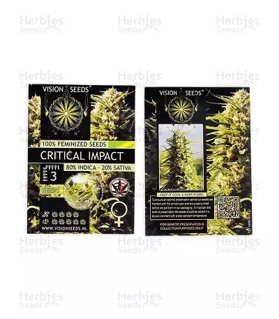 Critical Impact (Vision Seeds) Cannabis-Samen