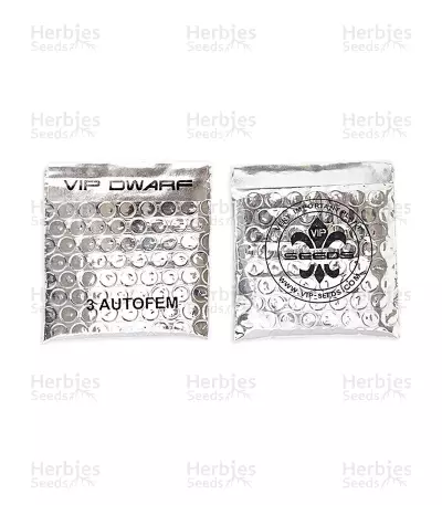 VIP Dwarf Auto (VIP seeds) Cannabis-Samen