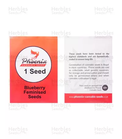 Blueberry (Phoenix Seeds) Cannabis-Samen