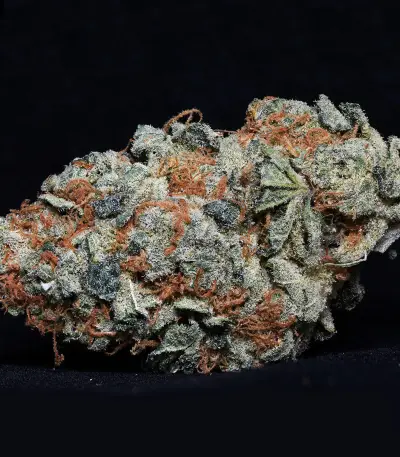Cookie Dawg (Big Head Seeds) Cannabis-Samen
