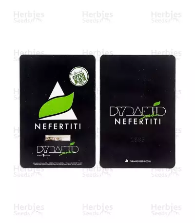 Nefertiti (Pyramid Seeds) Cannabis-Samen