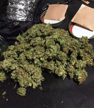 Trippy Gorilla Autoflowering (Big Head Seeds) Cannabis-Samen