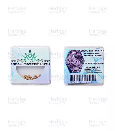 SoCal Masterkush Regular (BC Bud Depot Seeds) Cannabis-Samen