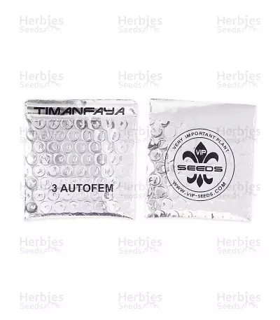 Timanfaya Auto (VIP seeds) Cannabis-Samen