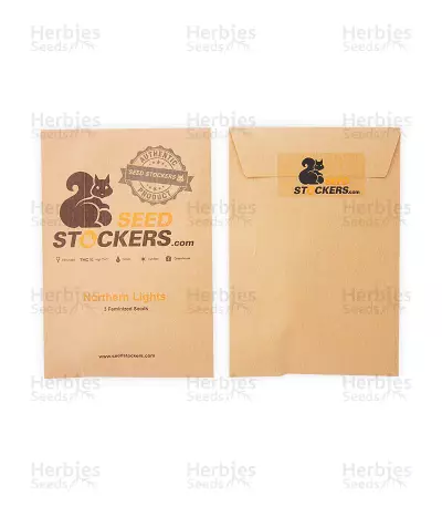 Northern Lights (Seedstockers) Cannabis-Samen